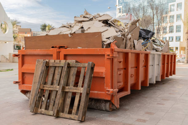 Best Residential Junk Removal  in Palestine, IL